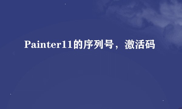 Painter11的序列号，激活码