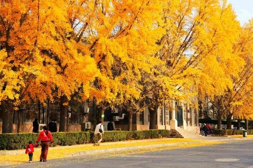 填词“（）的秋天”应该怎么填写？