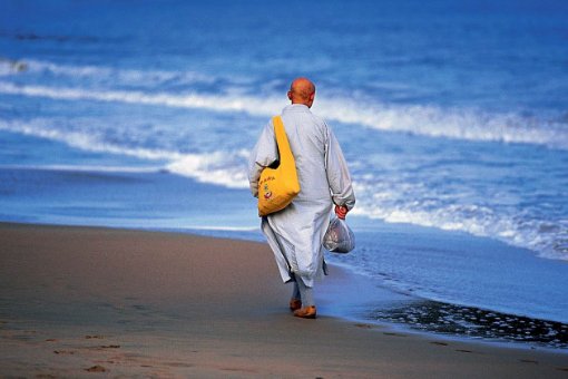 本来无一物是什么意思