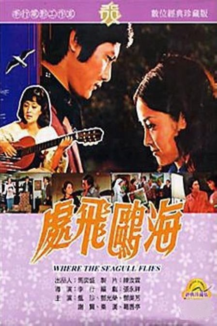 海鸥飞处的介绍