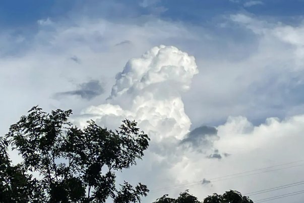 处暑时节,民问有“七月八月看巧 云”之说,“巧云”是指哪种云