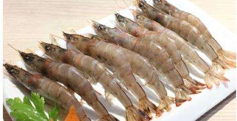 海洋中的虾都有哪几个品种