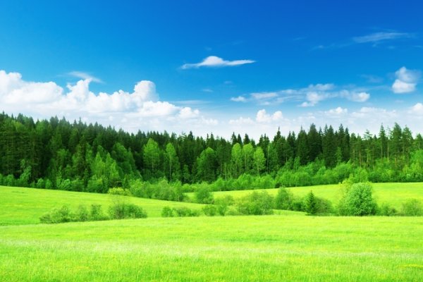 多余是什么意思