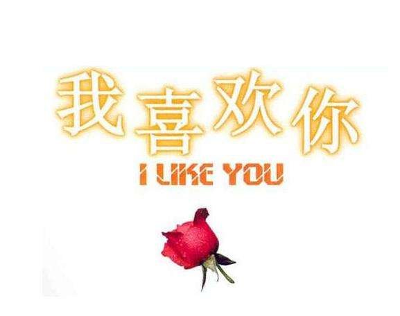 私はあなたが好きです 这是什么意思