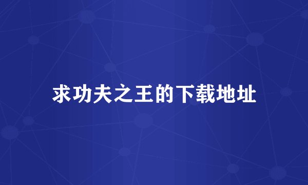 求功夫之王的下载地址