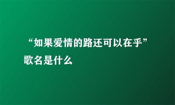 “如果爱情的路还可以在乎”歌名是什么