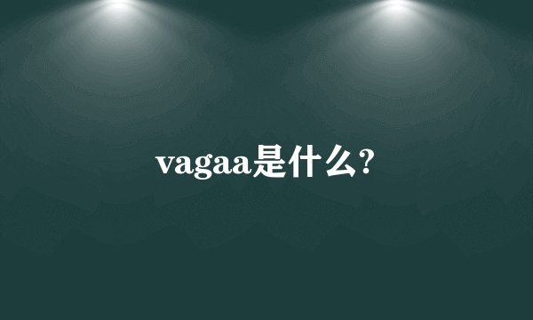 vagaa是什么?