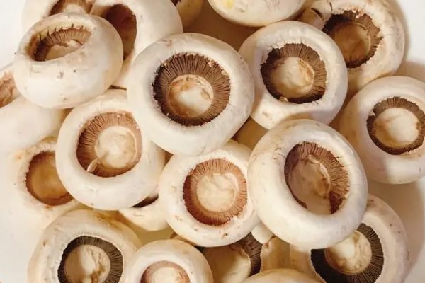 口蘑中的口字,源于