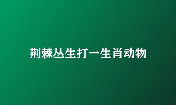 荆棘丛生打一生肖动物
