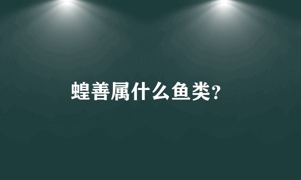 蝗善属什么鱼类？