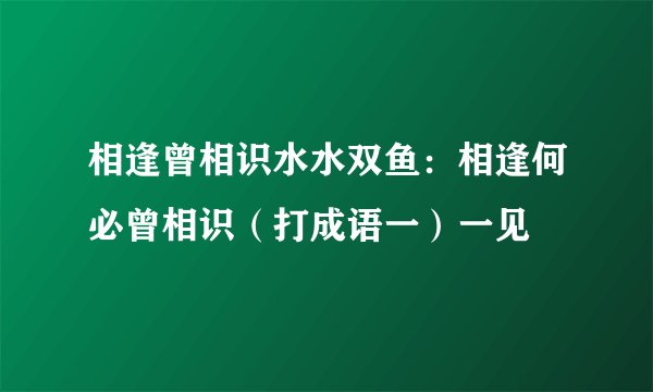 相逢曾相识水水双鱼：相逢何必曾相识（打成语一）一见