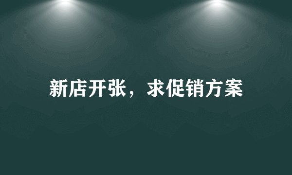 新店开张，求促销方案