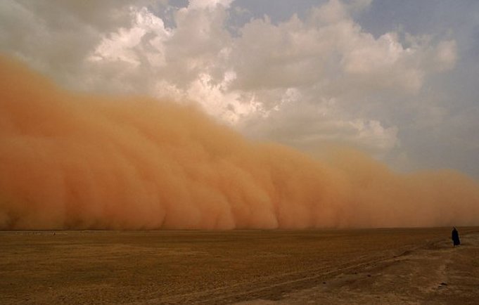 浑黄一体的意思是什么?