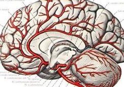 有时候闭上眼睛，会感觉有一个物体 在你的意识里或者脑子里越来越大越来越小不停变换 变大时候会有压迫