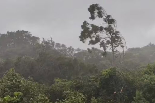 杜苏芮的拼音是什么