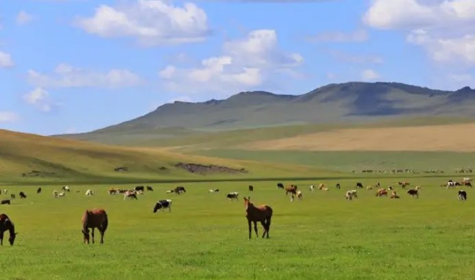 旗是什么行政级别