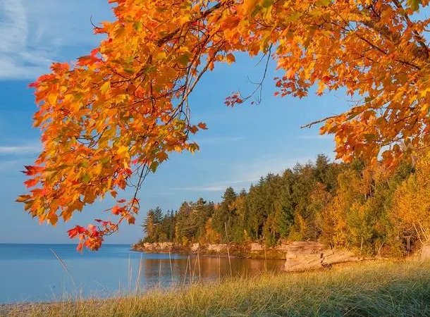 秋天的四字成语有哪些