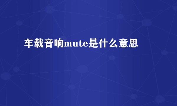 车载音响mute是什么意思