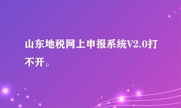 山东地税网上申报系统V2.0打不开。