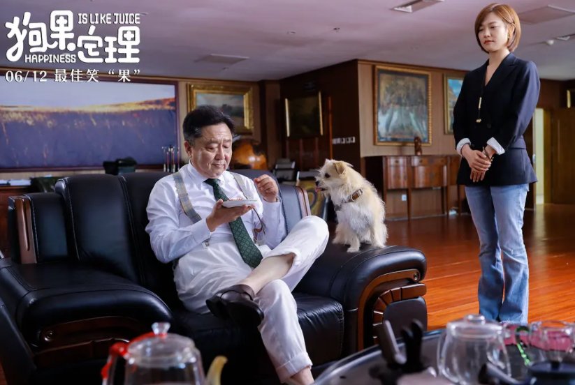 于谦和贾冰强势加盟，如何评价电影《狗果定理》？