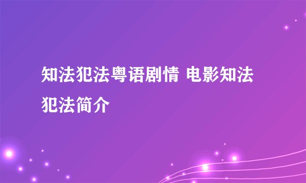 知法犯法粤语剧情 电影知法犯法简介