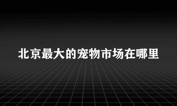 北京最大的宠物市场在哪里