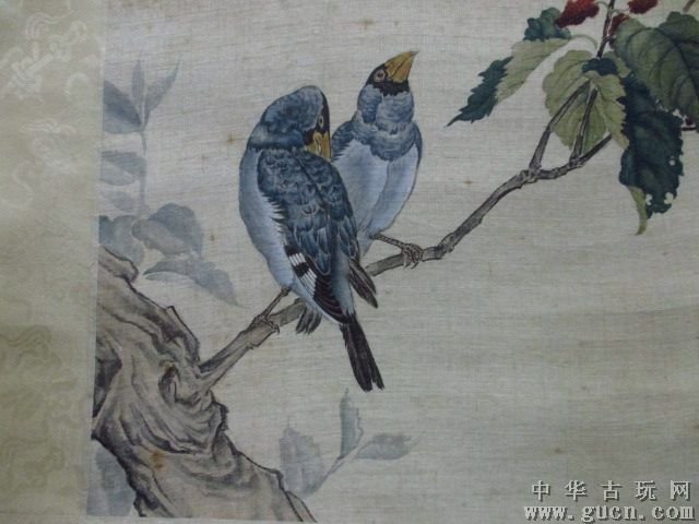 花鸟玲爱的介绍