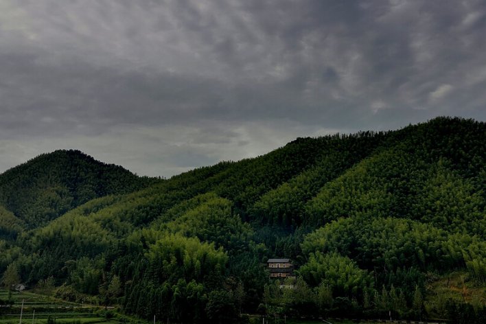 张钧甯怎么读mi