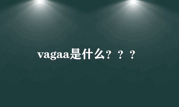 vagaa是什么？？？