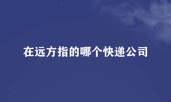 在远方指的哪个快递公司