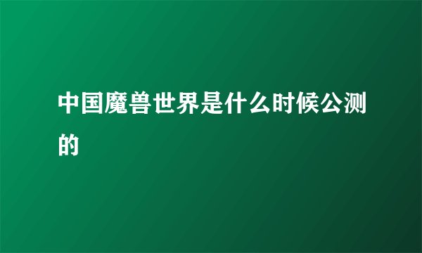 中国魔兽世界是什么时候公测的