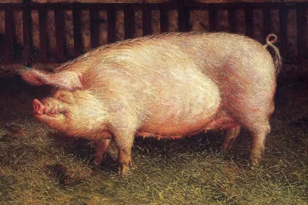 权衡利弊打一生肖动物