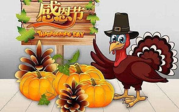 今天是感恩节吗？