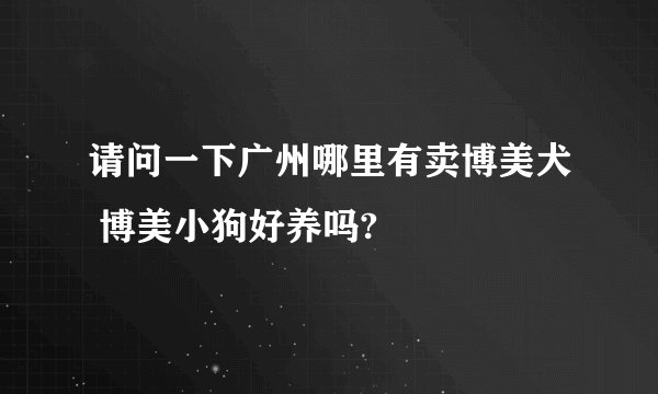 请问一下广州哪里有卖博美犬 博美小狗好养吗?