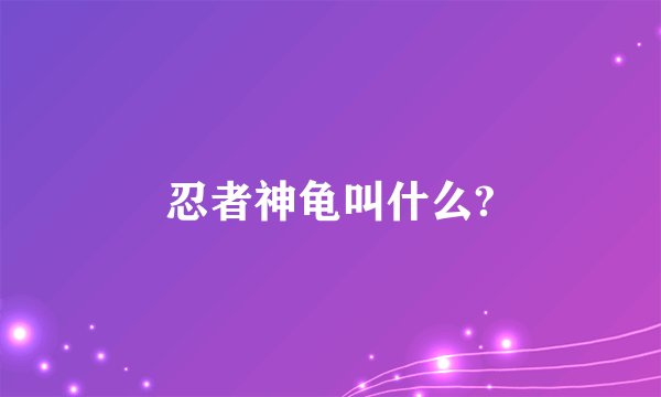 忍者神龟叫什么?