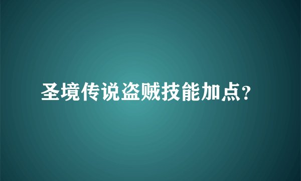 圣境传说盗贼技能加点？