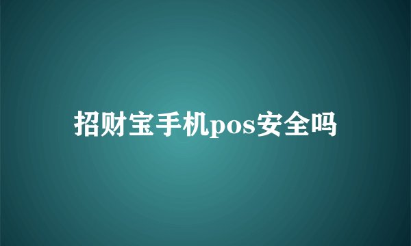 招财宝手机pos安全吗