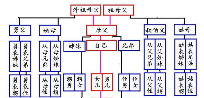 爸爸和伯伯哪个大？
