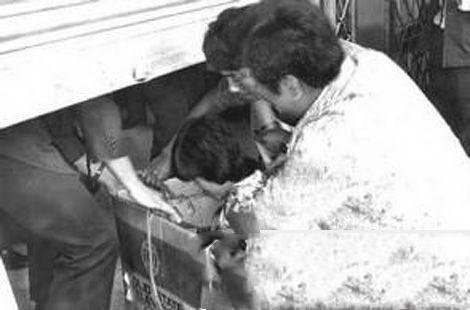 跑马地纸盒藏尸案件回顾：是否为真凶成谜，出狱后改名换姓！ 你怎么看？