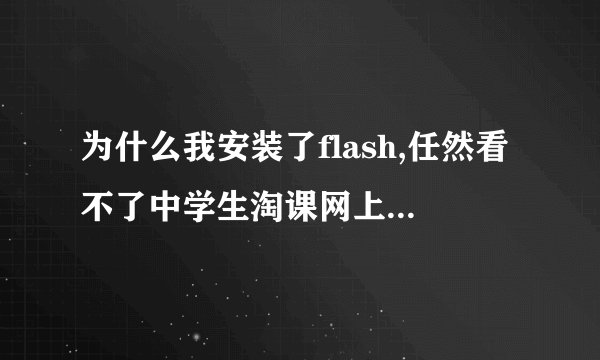 为什么我安装了flash,任然看不了中学生淘课网上的视频呢