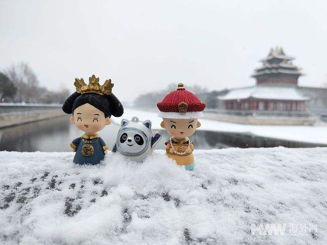 男子带冰墩墩打卡雪中故宫被围观，当时的游客们是什么反应？