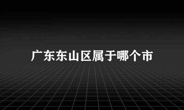 广东东山区属于哪个市