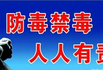 二十世纪什么时候中国获得无毒国美誉近30年