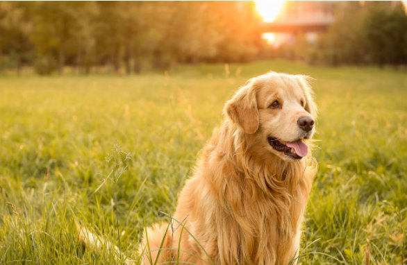 宝贝感受到它在爱你吗