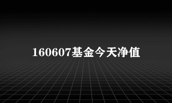160607基金今天净值