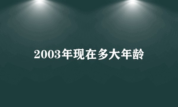 2003年现在多大年龄