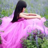 可爱七姐妹头像急，快