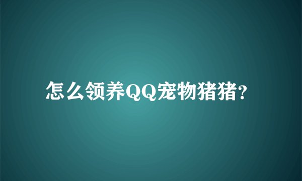 怎么领养QQ宠物猪猪？