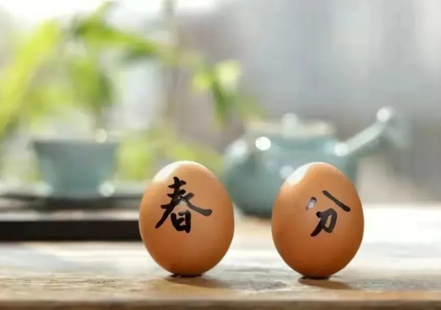 春分立蛋是生的还是熟的