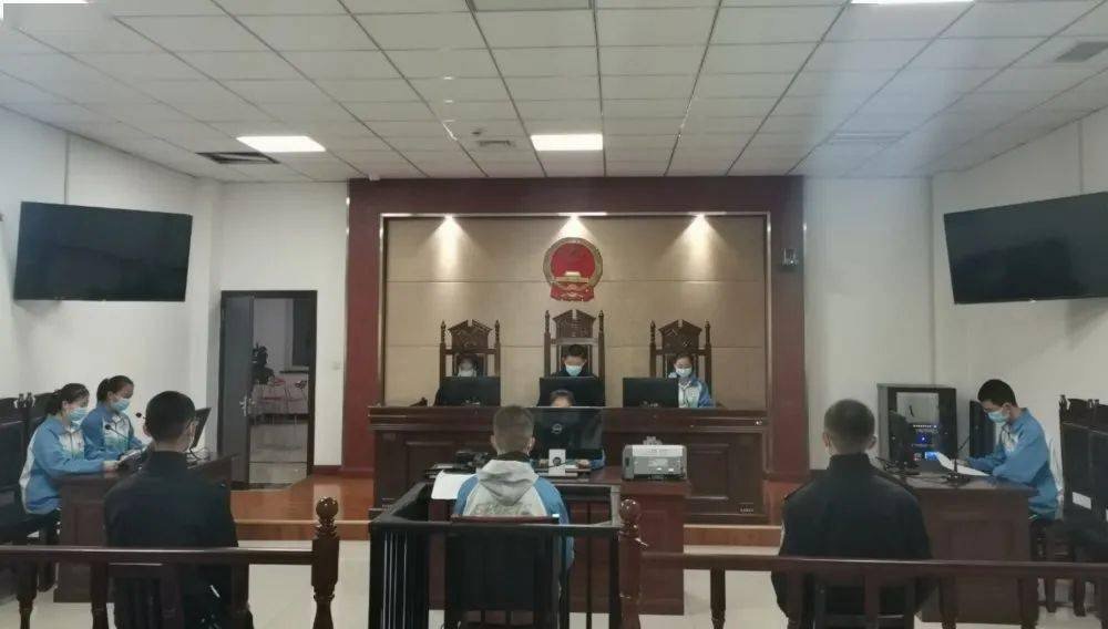 罪犯张成功被执行了死刑，你知道关于他的案件吗？